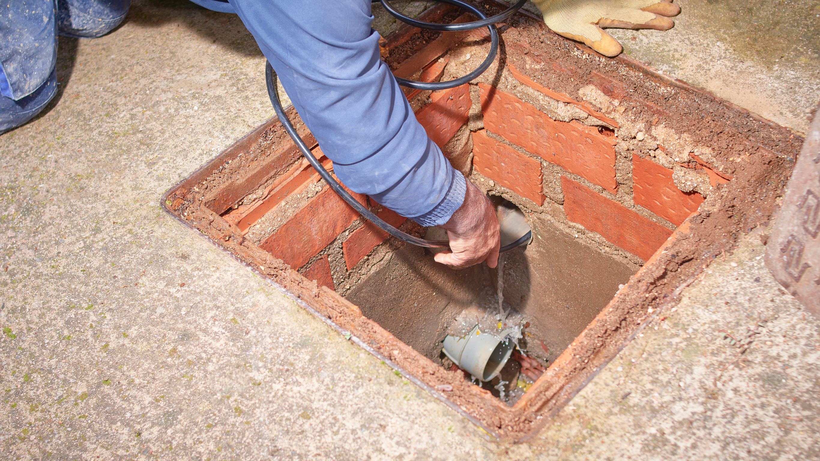 pipe-blockage-by-tree-root-quicker-rooter-emergency-plumbing-and-heating_calgary